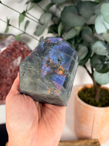 Labradorite Free Form - 59