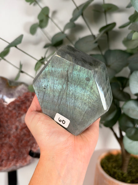 Labradorite Free Form - 60