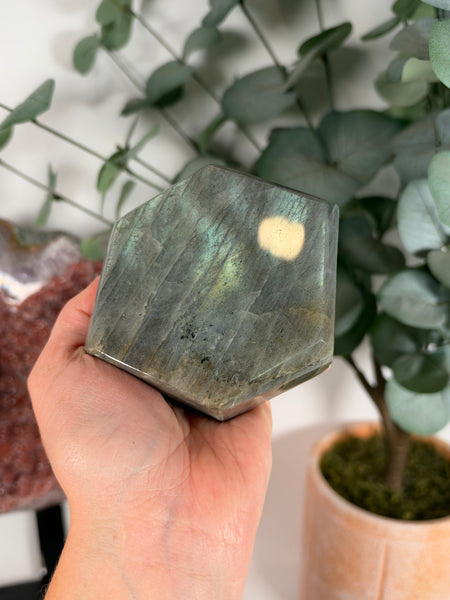 Labradorite Free Form - 60