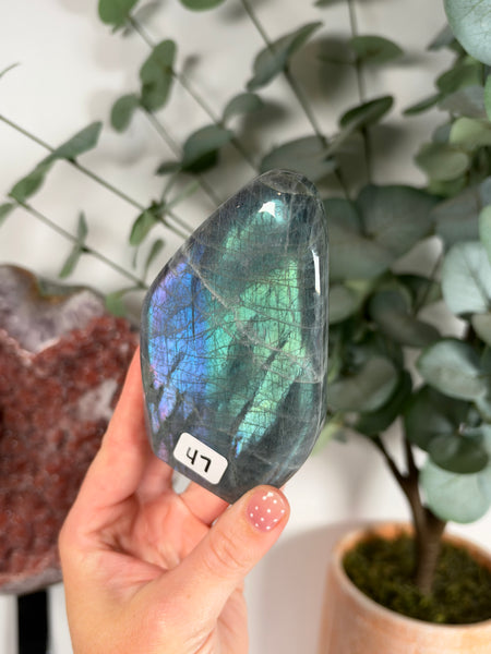 Labradorite Free Form - 47