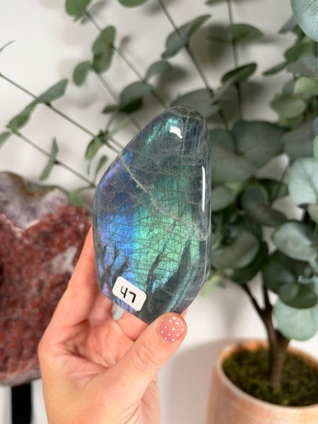 Labradorite Free Form - 47