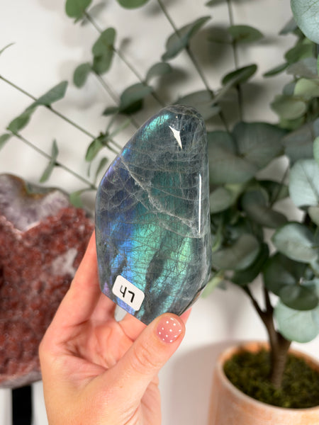 Labradorite Free Form - 47