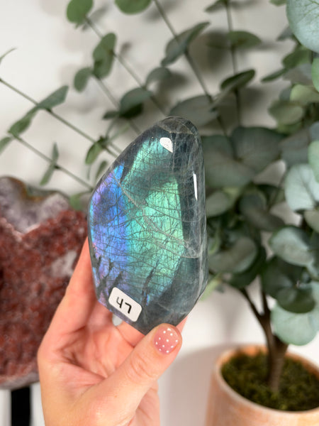Labradorite Free Form - 47