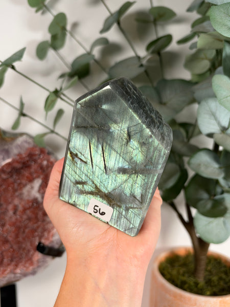 Labradorite Free Form - 56