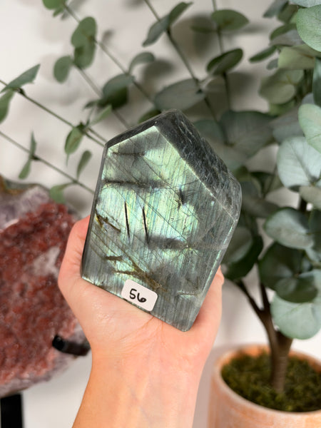 Labradorite Free Form - 56