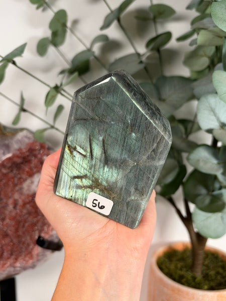 Labradorite Free Form - 56