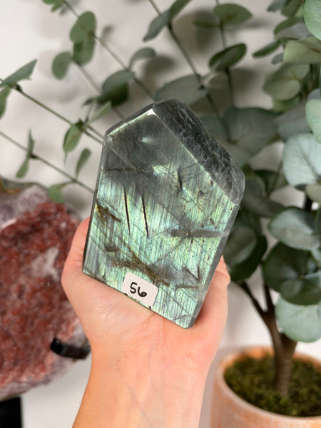 Labradorite Free Form - 56
