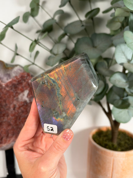Labradorite Free Form - 52