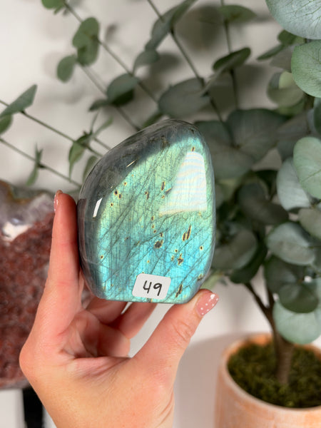 Labradorite Free Form - 49
