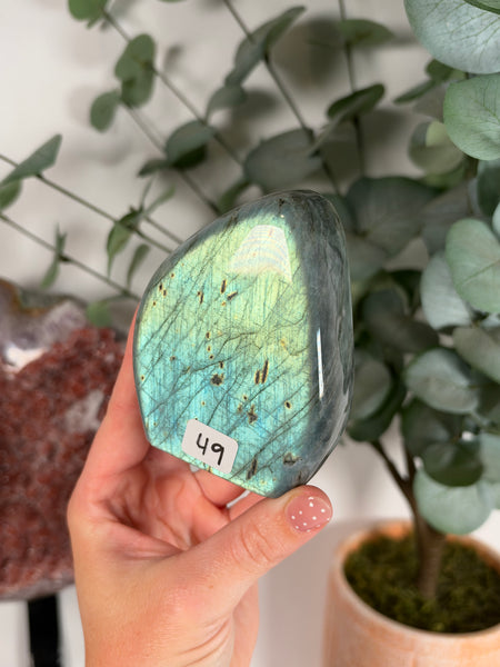 Labradorite Free Form - 49