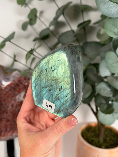 Labradorite Free Form - 49