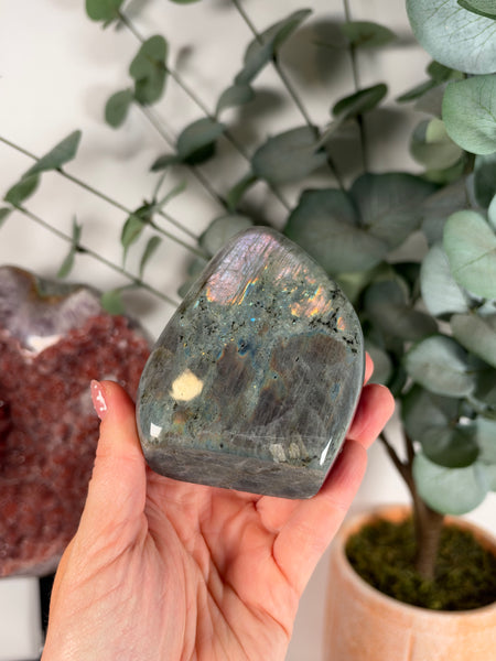 Labradorite Free Form - 49