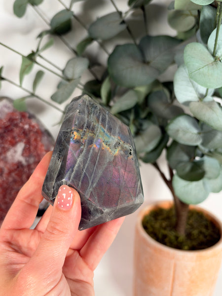 Labradorite Free Form - 38