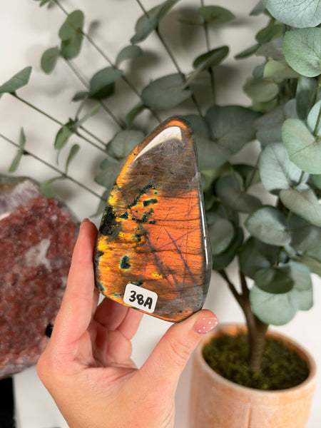 Labradorite Free Form - 38A