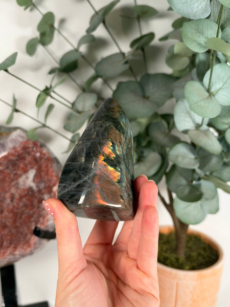 Labradorite Free Form - 38A