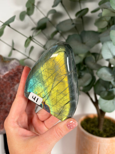Labradorite Free Form - 41