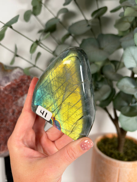 Labradorite Free Form - 41