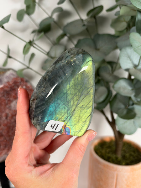 Labradorite Free Form - 41