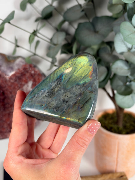 Labradorite Free Form - 41