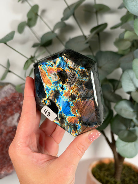 Labradorite Free Form - 43