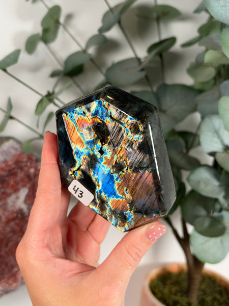 Labradorite Free Form - 43