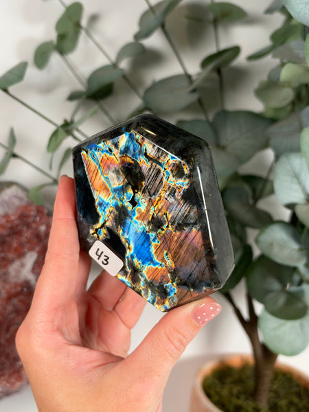 Labradorite Free Form - 43