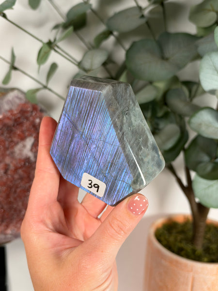 Labradorite Free Form - 39