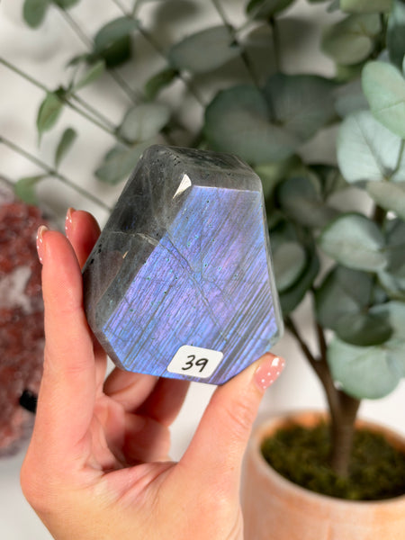 Labradorite Free Form - 39