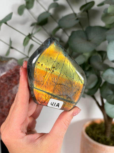 Labradorite Free Form - 41A
