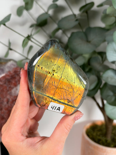 Labradorite Free Form - 41A