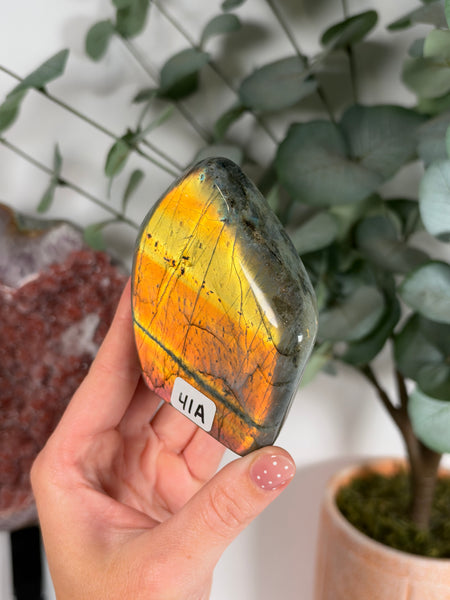 Labradorite Free Form - 41A