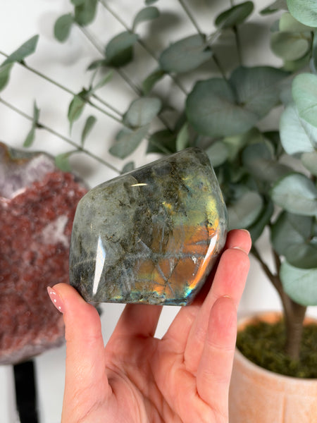 Labradorite Free Form - 41A