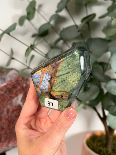 Labradorite Free Form - 37