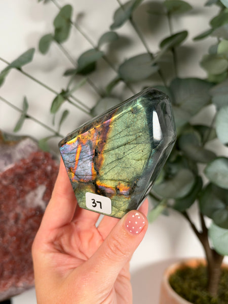 Labradorite Free Form - 37