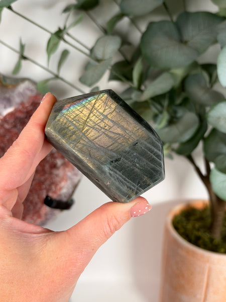 Labradorite Free Form - 26A