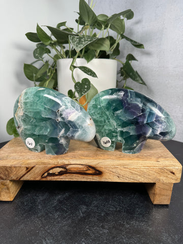 Fluorite Bear - XL