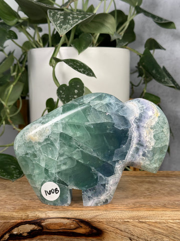 Fluorite Buffalo - XL