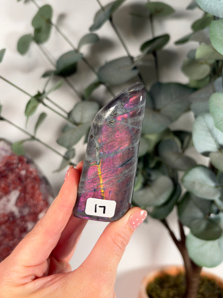 Labradorite Free Form - 17