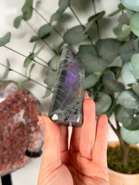 Labradorite Free Form - 17