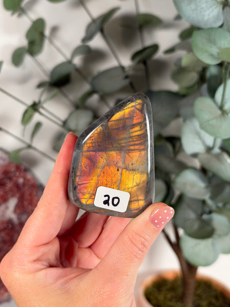 Labradorite Free Form - 20