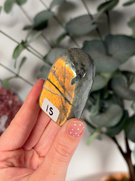 Labradorite Free Form - 15