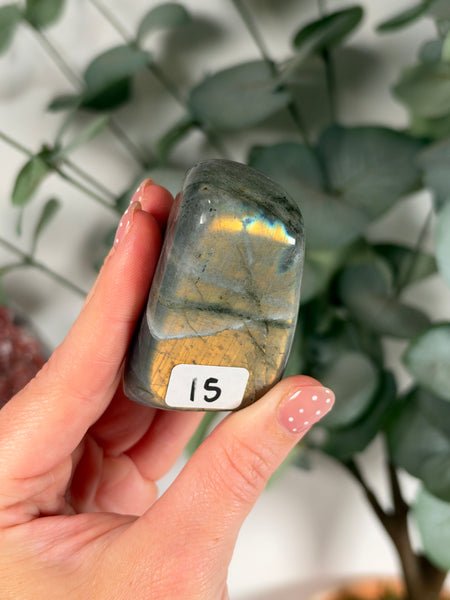Labradorite Free Form - 15