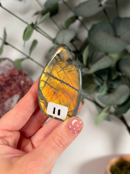 Labradorite Free Form - 11