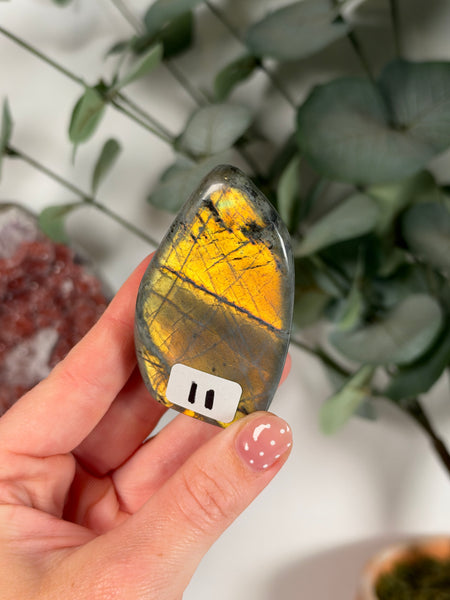 Labradorite Free Form - 11