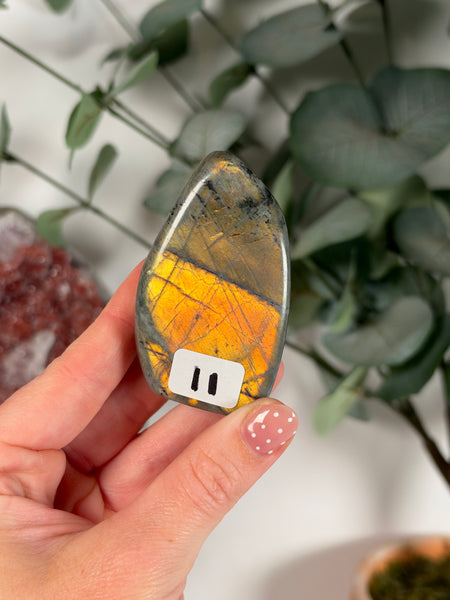 Labradorite Free Form - 11