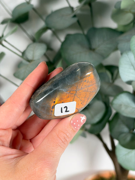 Labradorite Free Form - 12