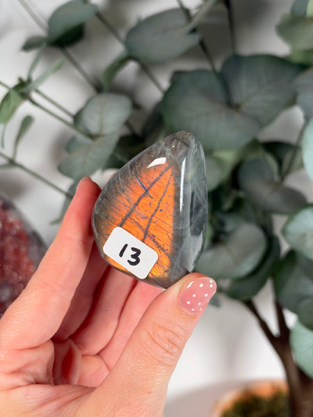 Labradorite Free Form - 13