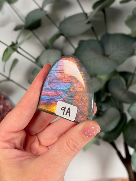 Labradorite Free Form - 9A