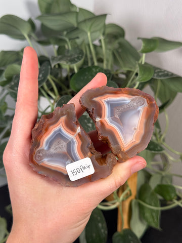 Malawi Agate Pair - 150