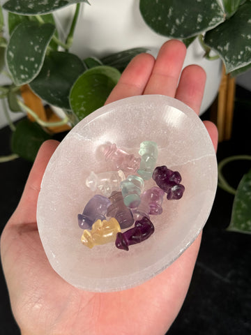 Fluorite Multi Mushrooms